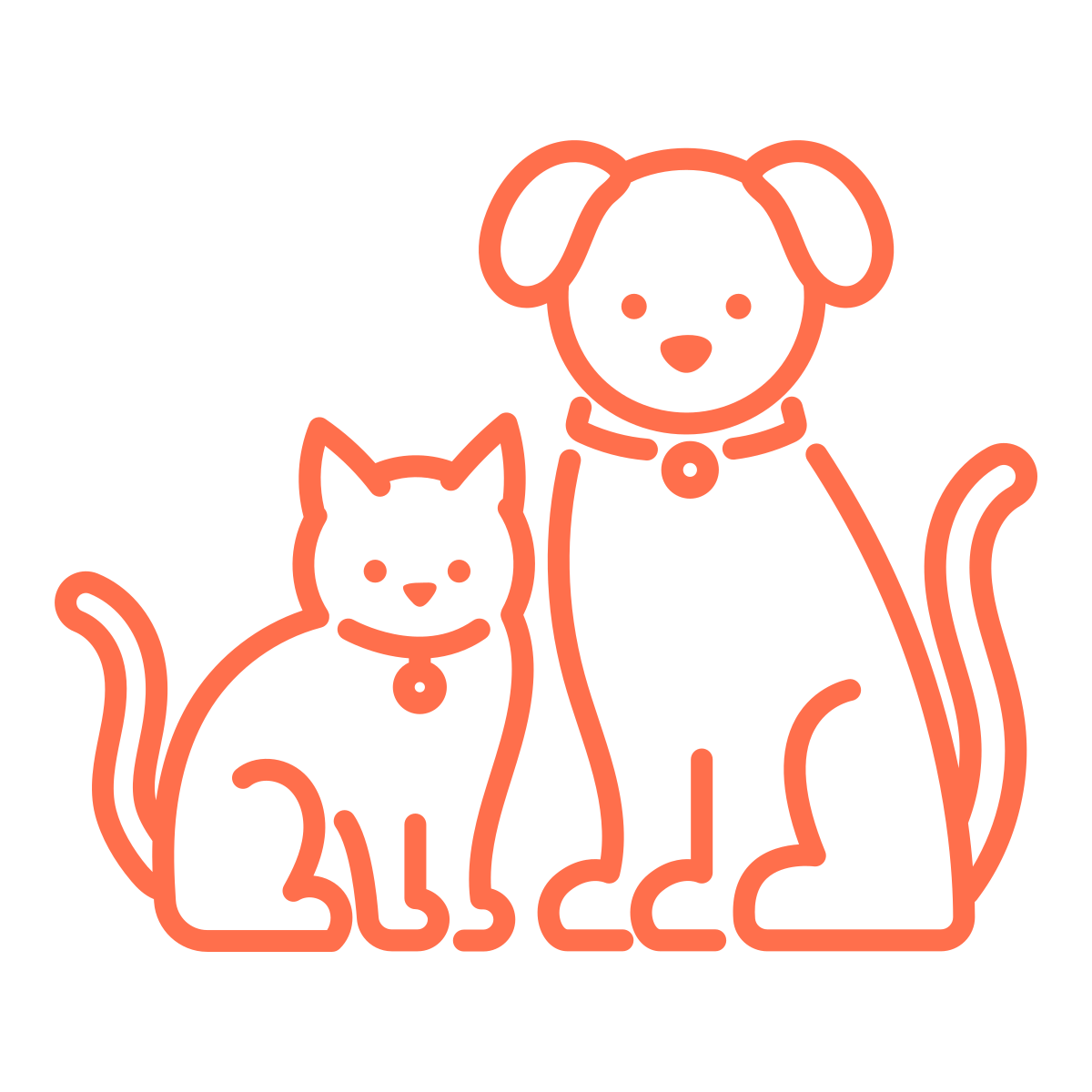 noun-pets-7548256-FF6F4C